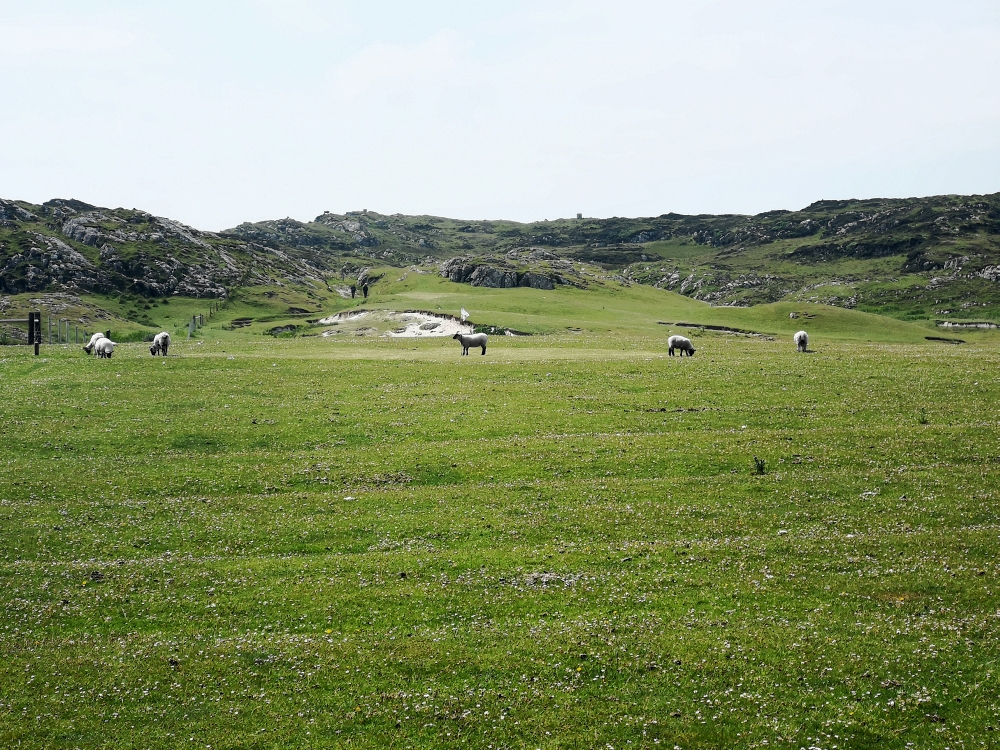 Isle of Iona Golf Course - das Grün wird gemäht