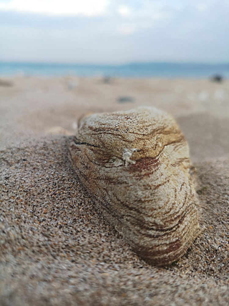 Strand mit Steine