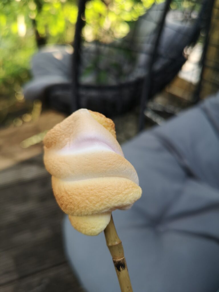 auf einem Stock ist ein schön gebräunter Marshmallow zu sehen, unscharf im Hintergrund sind Kissen zu sehen