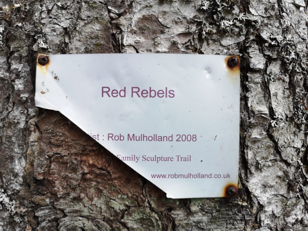 Hinweisschild an einem Baum, das man die "Red Rebels" finden muss. Das Schild ist leider beschädigt und man kann nicht mehr alles lesen, aber es wurde 2008 erstellt und die red rebels "ausgesetzt"