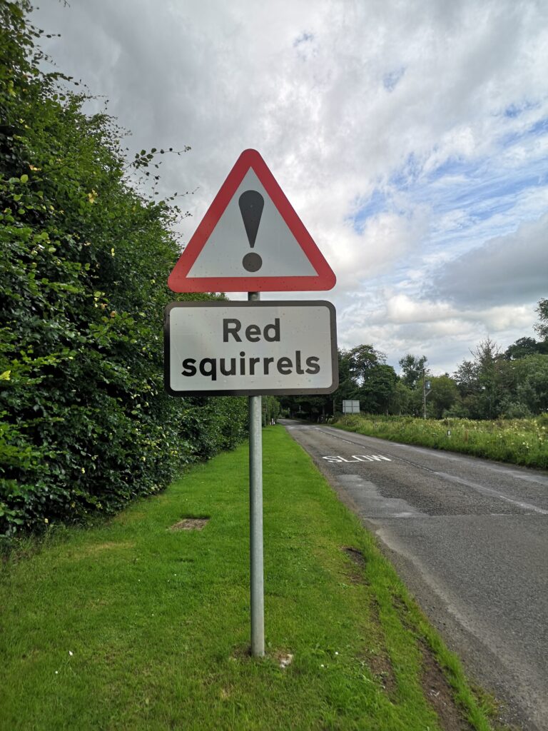 Wir stehen auf einem Grünstreifen neben einer Straße in Schottland.
Vor uns ein Hinweisschild Achtung. Darunter noch ein Zusatzschild mit der Aufschrift "red squirrels"