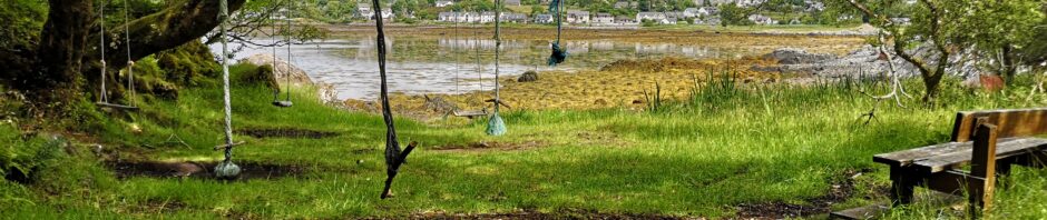 An einem Baum hängen mehrer Seile mit am Ende befestigten Stöcken herab. Diese dienen als Schaukeln. Der Baum ist eine Eiche und steht an einem Ufer, kaum 20m entfernt vom Meer und man kann auf der anderen Seite der Bucht den ort Arisaig sehen